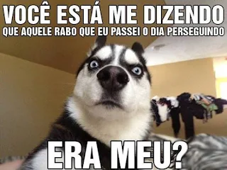 Meme-com-cachorro