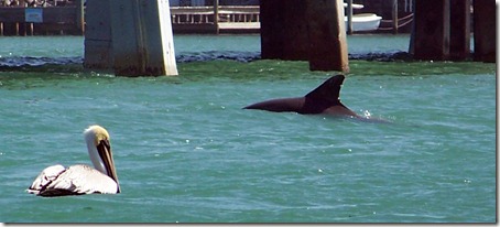 2012-02-23 Lake Manatee State Park FL 024