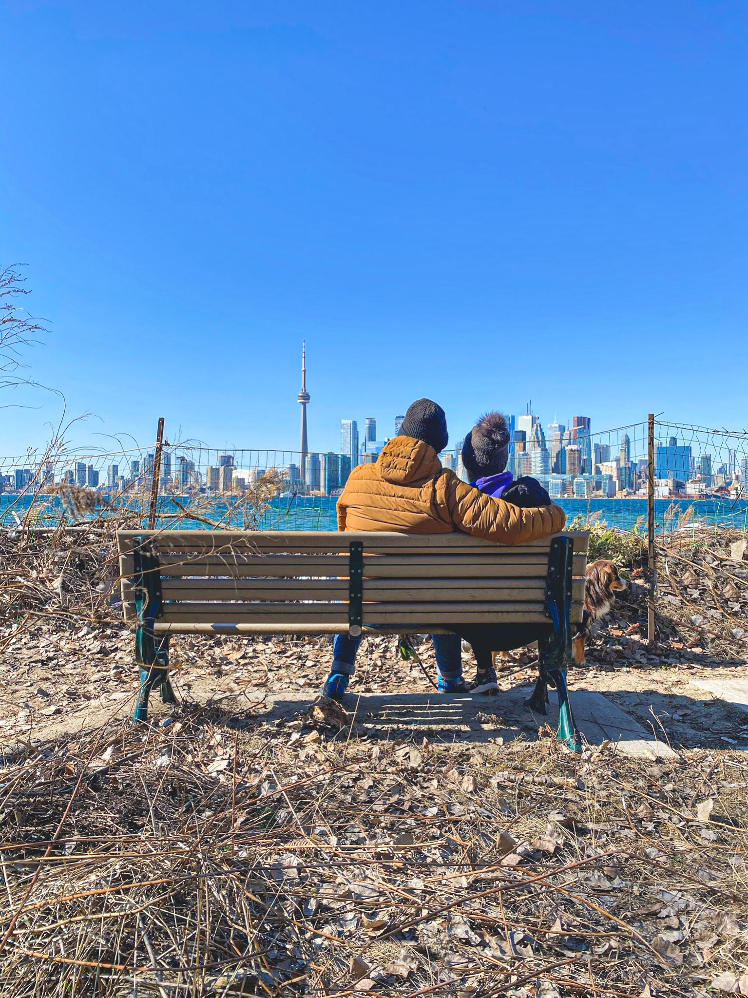 What You Need to Know About Visiting the Toronto Islands During the Pandemic