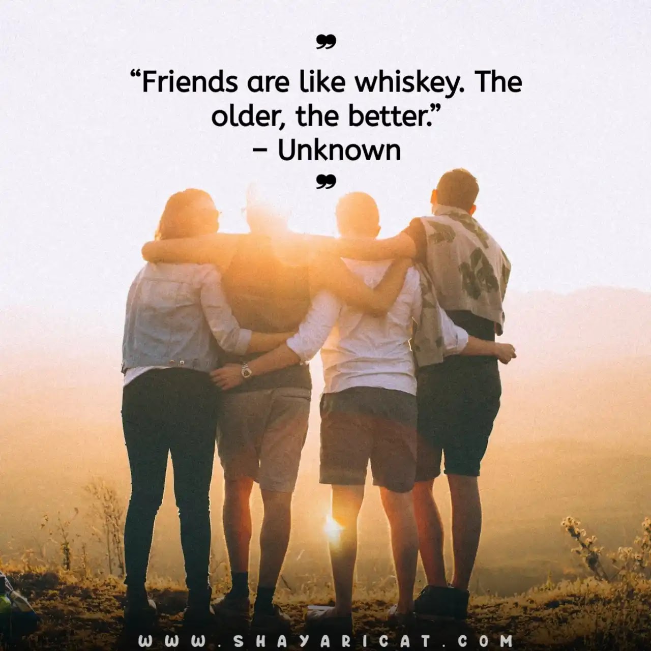 60+] Beautiful Friendship Quotes for Your Friends