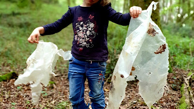 cueillette aux plastignons