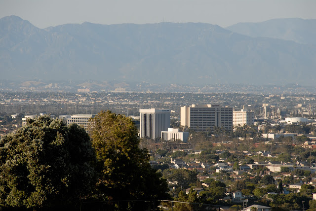 Skyline view of downtown L.A.: LadyD Books