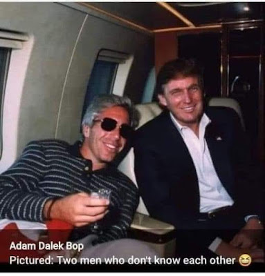 meme - Trump and Epstein