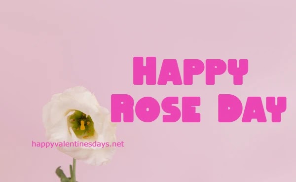 Happy Rose Day 2022 Images for WhatsApp Status