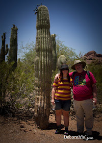 Phoenix 4 - photo by Deborah Frings - Deborah's Gems