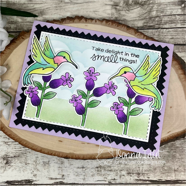 D Idlet, Newton's Nook Designs, Hummingbird stamp set,Basic Frames Die Set,Frames and Tags Die Set, hummingbirds, clouds,copic coloring,