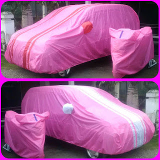 Cover Mobil Eritga