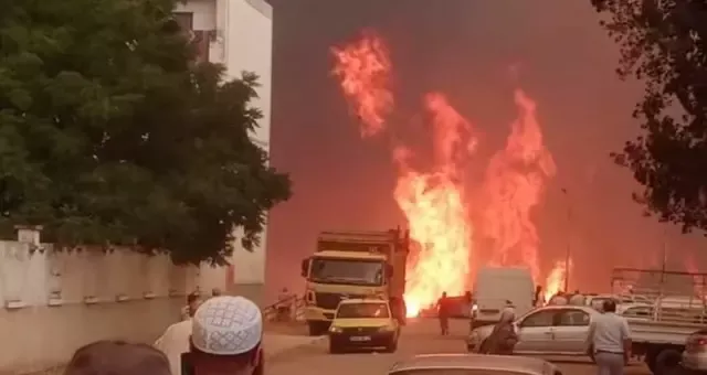 ارتفاع حصيلة ضحايا حرائق الغابات بالجزائر إلى 41 وفاة