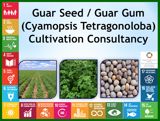 Guar Seed / Guar gum (cyamopsis tetragonoloba) Crop Cultivation Consultancy, Agriculture Training Consultancy / Agriculture Technology training Agribusiness Consultancy, Agriculture Project Report Agriculture / Agribusiness Consultancy,  Aeroponic Cultivation Consultancy, Agri Business Consultancy, Agribusiness Consultancy, Agribusiness Manpower Consultancy, Agribusiness Market Research, Agribusiness Professional Recruitment Consultancy, Agribusiness Project Report, Agricultural Consultancy, Agricultural Mechanization Consultancy, Agricultural Project report, Agriculture Commodity Procurement Planning, Agriculture Consultancy, Agriculture Implements Consultancy, Agriculture Industry Research Report, Agriculture Land Selection Consultancy, Agriculture Market Research, Agriculture Project Report, Agriculture Technology Exposure Tour, Agriculture Tour, Agriculture Training, Aromatic Plantation Consultancy, Beekeeping or Apiculture Consultancy, Bio Diesel Crop Plantation Consultancy, Biofuel Crop Cultivation Consultancy, Dairy Farming Consultancy:-, Exotic Vegetable Cultivation Consultancy, Export Import Of The Agricultural Commodity, Flower Cultivation/ Floriculture consultancy, Food Processing Industry Consultancy, Green House Consultancy, Guar Gum Cultivation Consultancy, Guar Gum Processing Consultancy, Guar Gum Seed Cultivation Consultancy, Guar Seed Cultivation Consultancy, Horticulture Consultancy, Hydroponics Cultivation Consultancy, Irrigation Management Consultancy, Jatropha Oil Sourcing Consultancy, Medicinal Plantation Consultancy, Mushroom Farming / Production Consultancy, Neem Oil Sourcing Consultancy, Olive Cultivation Consultancy, Organic Agriculture Consultancy, Organic Certification Consultancy, Organic Farming Consultancy, Plant Tissue Culture Laboratory Consultancy, Poultry Farming Consultancy, Soil and water Testing Consultancy, Spices Cultivation Consultancy, Stevia Cultivation Consultancy, Supply Chain Report Of Agriculture Commodities, Urban Agriculture Consultancy, Vegetables Cultivation Consultancy, Vermicompost Production Consultancy, Vermicompost Sourcing Consultancy, Hydroponics Consultancy