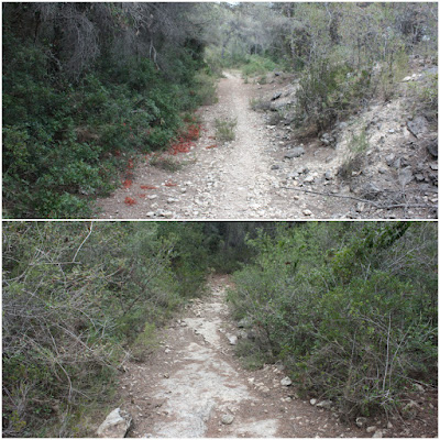 CALAFELL-MONTPAÓ-URBANITZACIÓ VALLDEMAR-TORRE D'EN VIOLA- EL PUJAL-LA TALAIA, corriol de baixada en direcció a Calafell Parc i les Terres de Ca l'Huguet