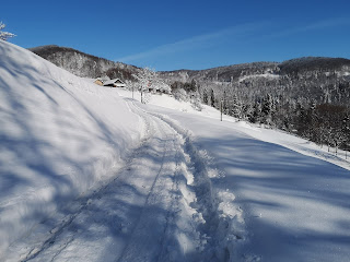 Zimowa droga na Zadnie Góry, w tle widać już domy