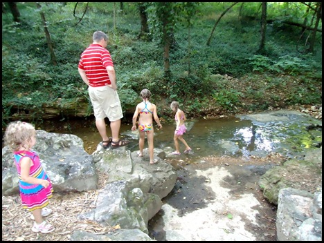 Crystal Bridges Trail 5