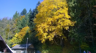 Na polanie pod Trzema Koronami