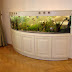 Aquarium Designs