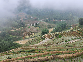 Terraced rice fields