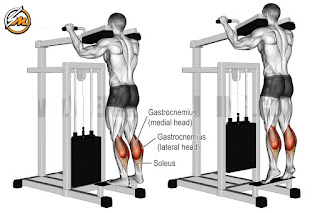 10 Best Muscle-Building Isolation Exercises