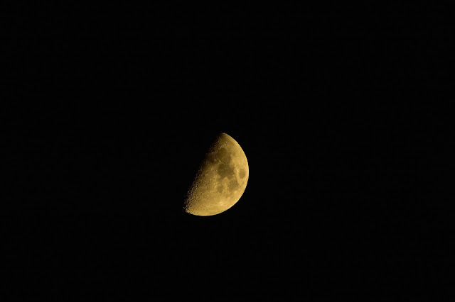 cratered surface half moon shot by Nikon1 J5 1Nikkor70-300mm