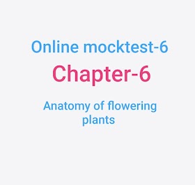 Anatomy of flowering plants online mocktest 6|Neet mcqs
