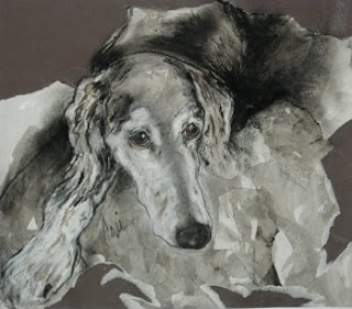 Amazement - Saluki by Cori Solomon