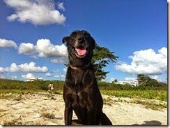 IMG_3935