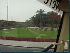 Dubai (17)