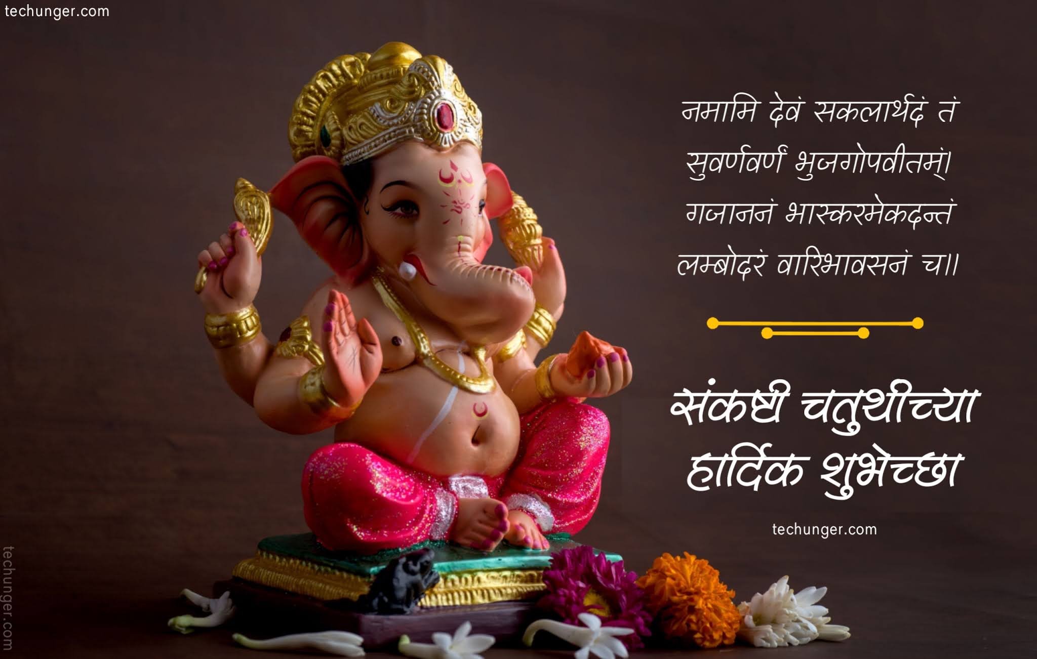 Techunger, saurabh chaudhari, chaturthi status, sankasti chaturthi, Ganesh chaturthi, status, 31 January 2021