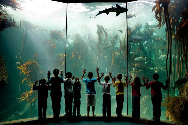 Two Oceans Aquarium