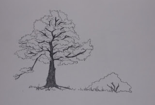 Sketch of a tree in spring