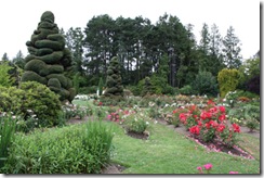 woodlawn park1