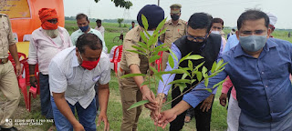 राम वन गमन मार्ग व गौरा घाट मे भी हुआ पौधरोपण का महाअभियान