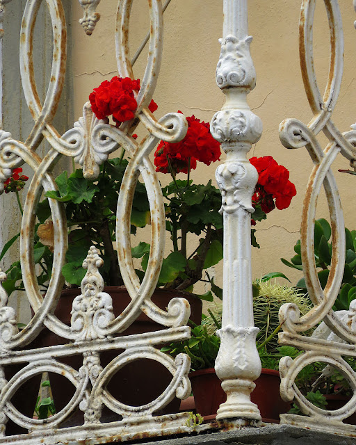 Fiori sul terrazzo, via Paoli, Livorno