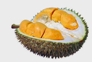  Gambar  Buah  Durian Lengkap Info Buah  Durian