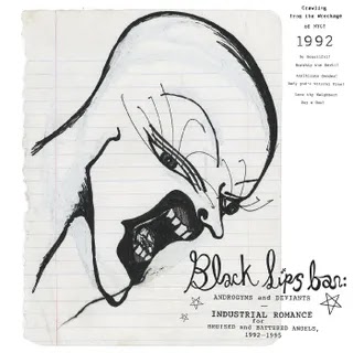 Various Artists - Blacklips Bar: Androgyns and Deviants - Industrial Romance for Bruised and Battered Angels, 1992–1995 Music Album Reviews