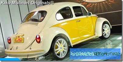 FuscaBall (9)[9]