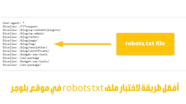 اختبار ملف robots txt