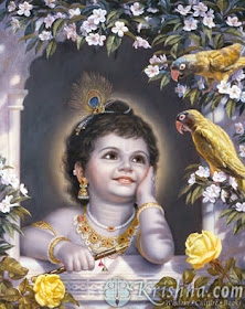 Krishna Pictures 4