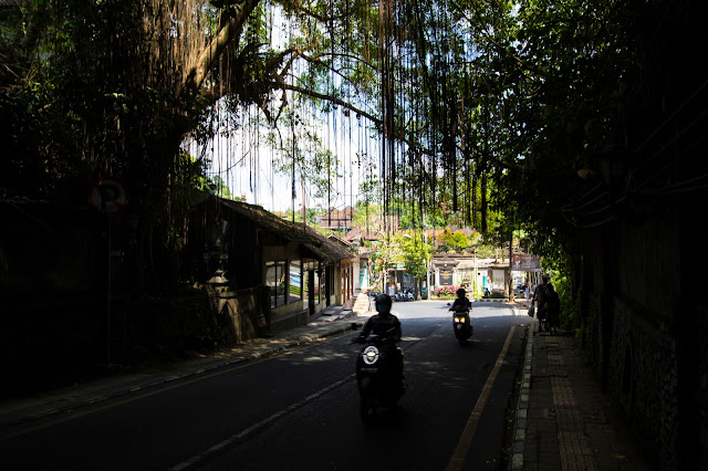 Ubud centro-Bali