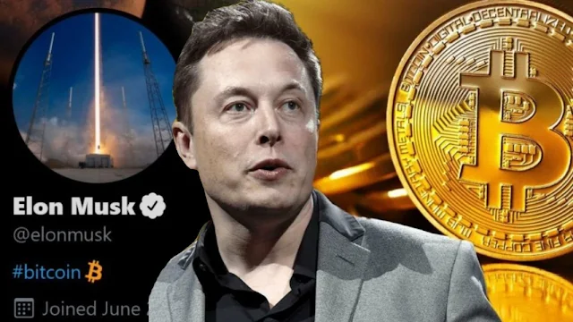 elon-musk-bitcoin
