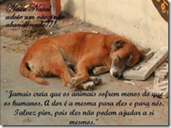 Amigo fiel