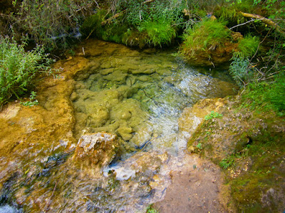 El nacimiento del río Cuervo. Autor: Miguel Alejandro Castillo Moya