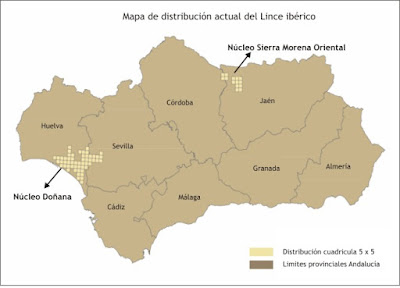 Población de Lince ibérico