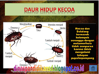 Media pembelajaran IPA Kelas 4 SD MI Pada Pelajaran Daur Hidup Makhluk Hidup Tahun 2016/2017