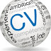 Exemples des CV GRATUITS sous format WORD [*.doc] [*.docx] //  CV samples that you will find on our website can be downloaded in Word format for free
