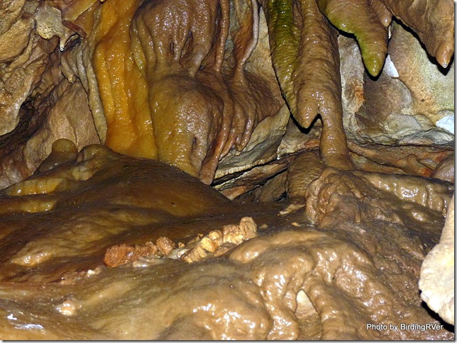 P1010543