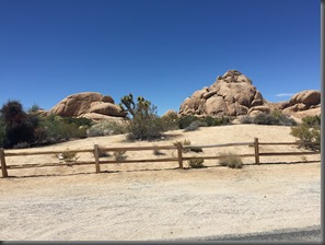 IMG_0580