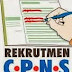 Pendaftaran CPNS Online Sudah Rampung, Tinggal Daftar Ulang