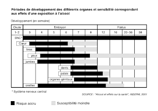 Vitamine c et epilepsie