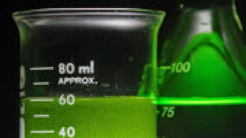 Magical Algae Turns Sewage Into Biofuel And Dasani