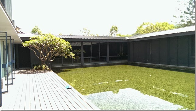 IMAG0795