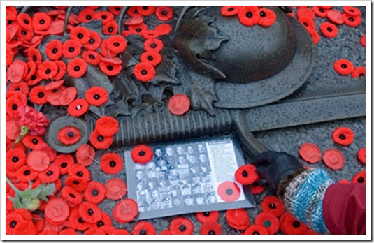 POPPIES AND WAR